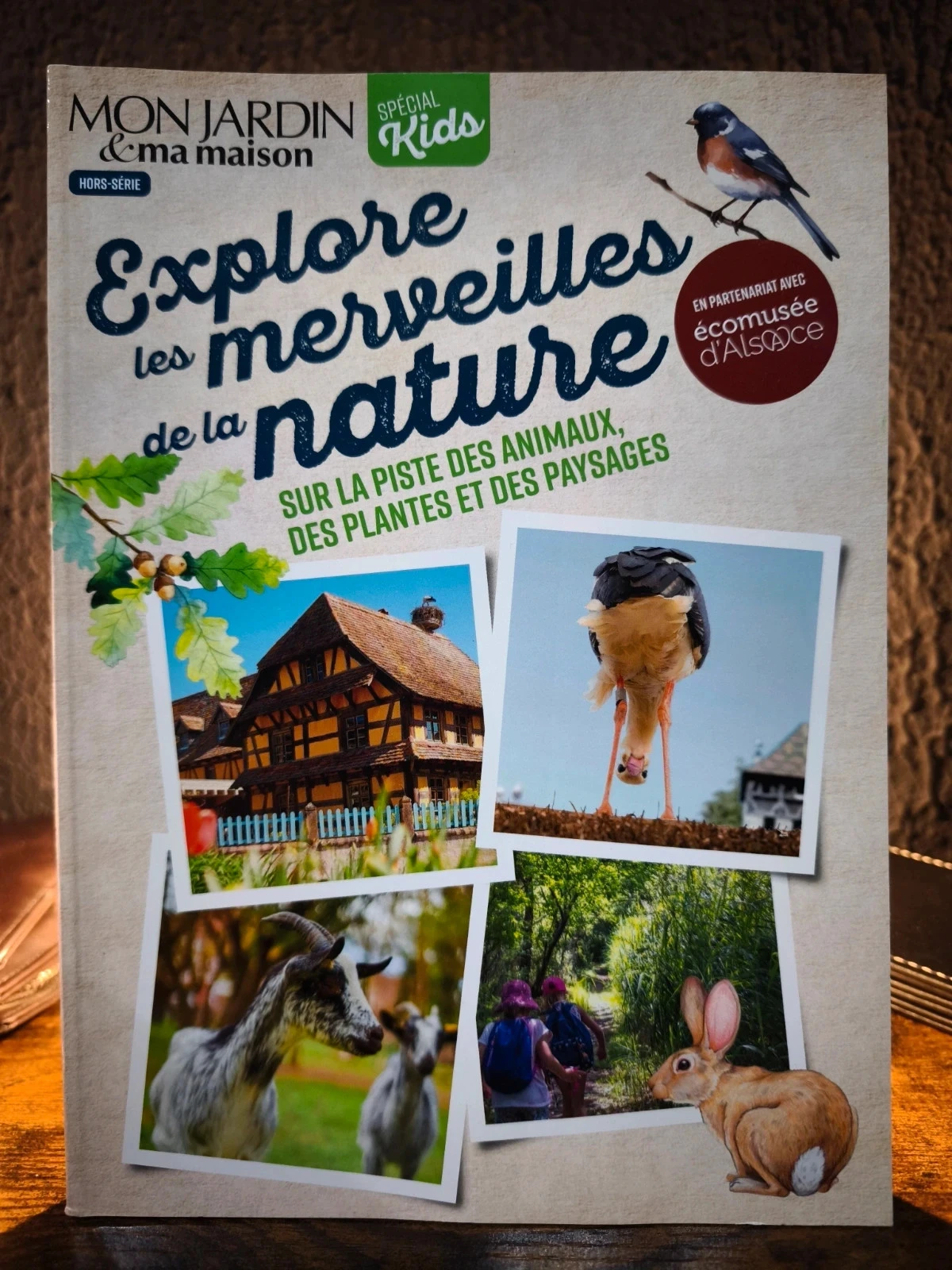 Explore les merveilles de la nature